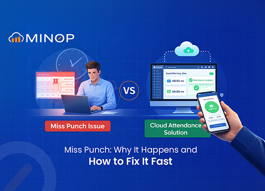 Miss Punch Meaning Regularization Process
