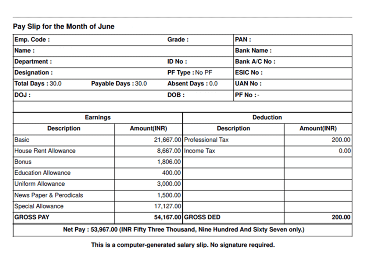 Professional Salary Simple Format